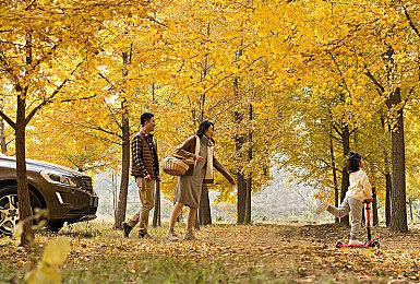 Roguelite塔防游戏《塔防实验室》Steam页面 支持中文